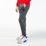 Pantalon peak kids dinosaure Gris