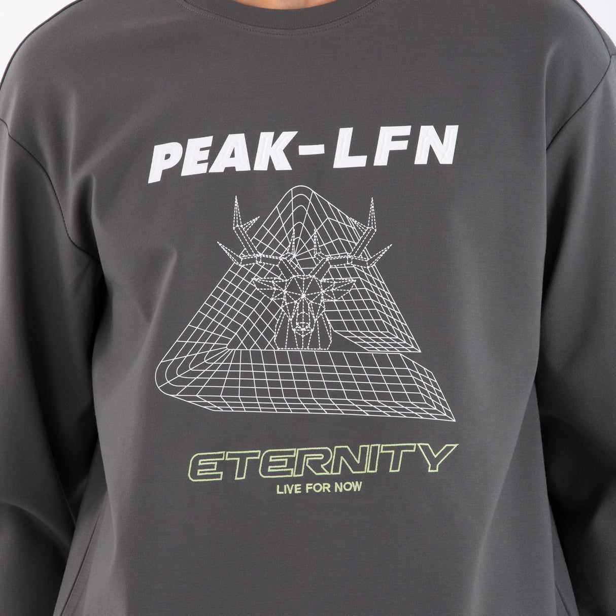 Sweat shirt eternity Gris