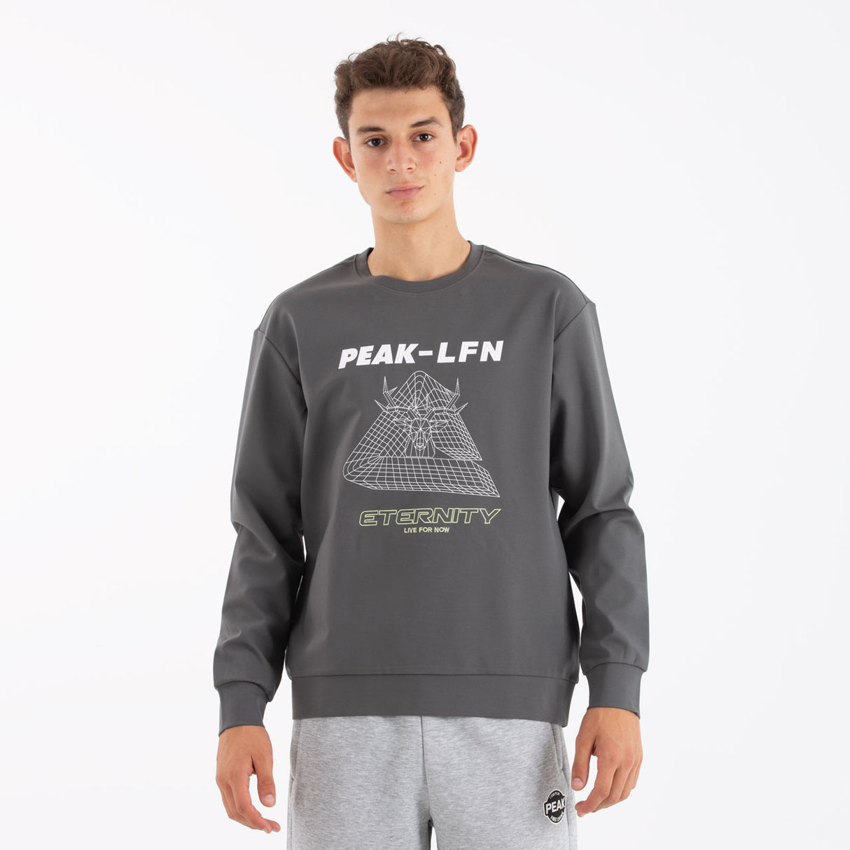 Sweat shirt eternity Gris