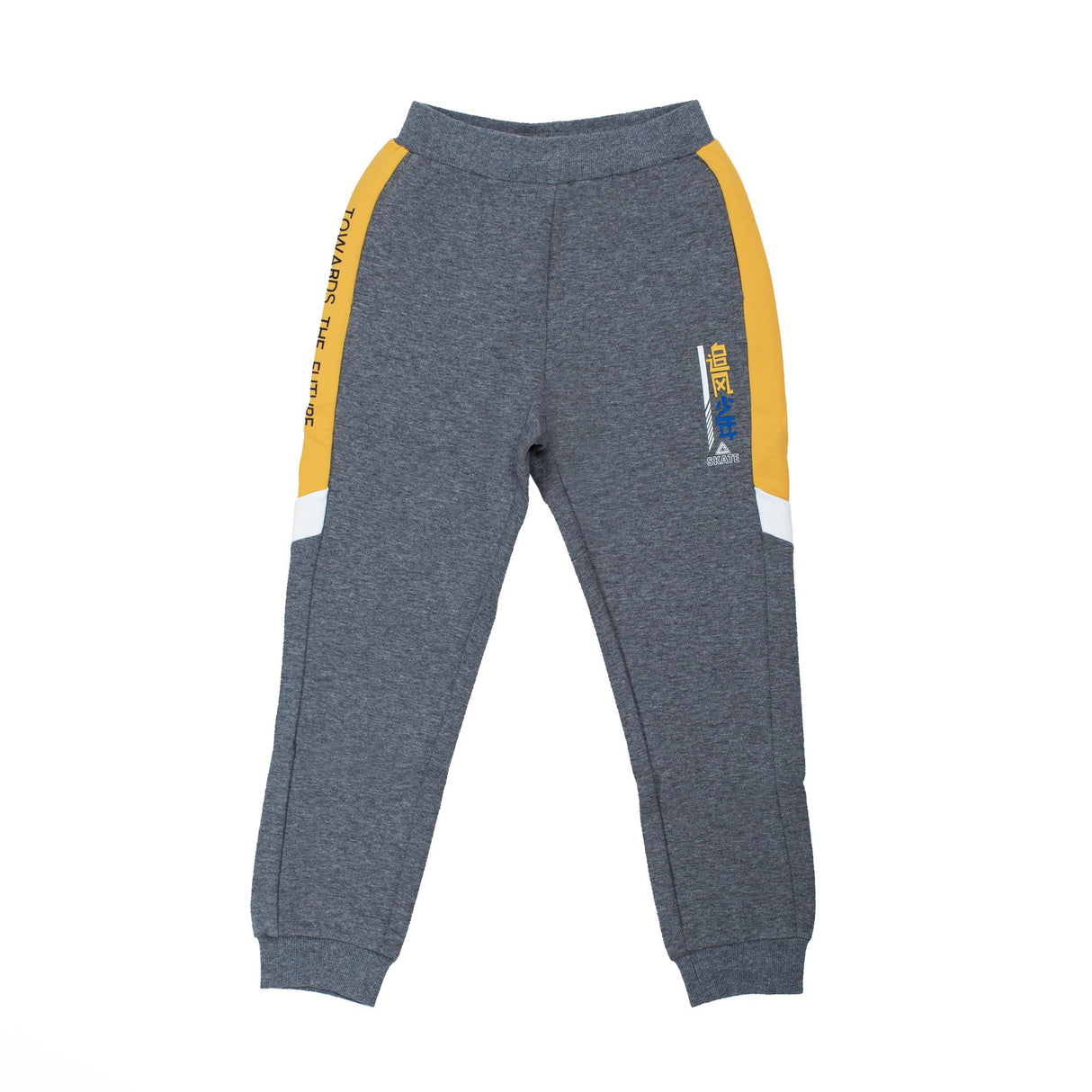 Pantalon skate jr Gris